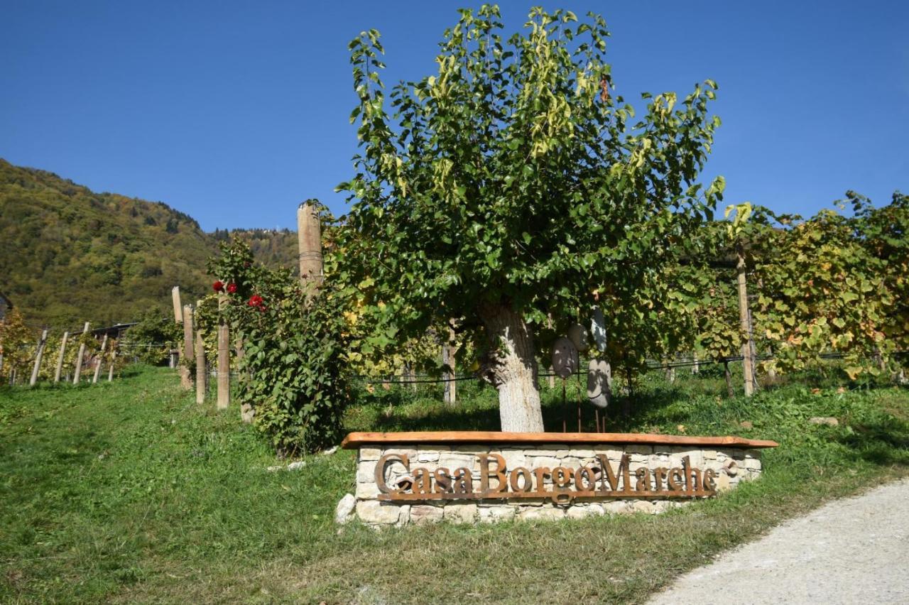 Agriturismo Casaborgomarche Valdobbiadene Extérieur photo